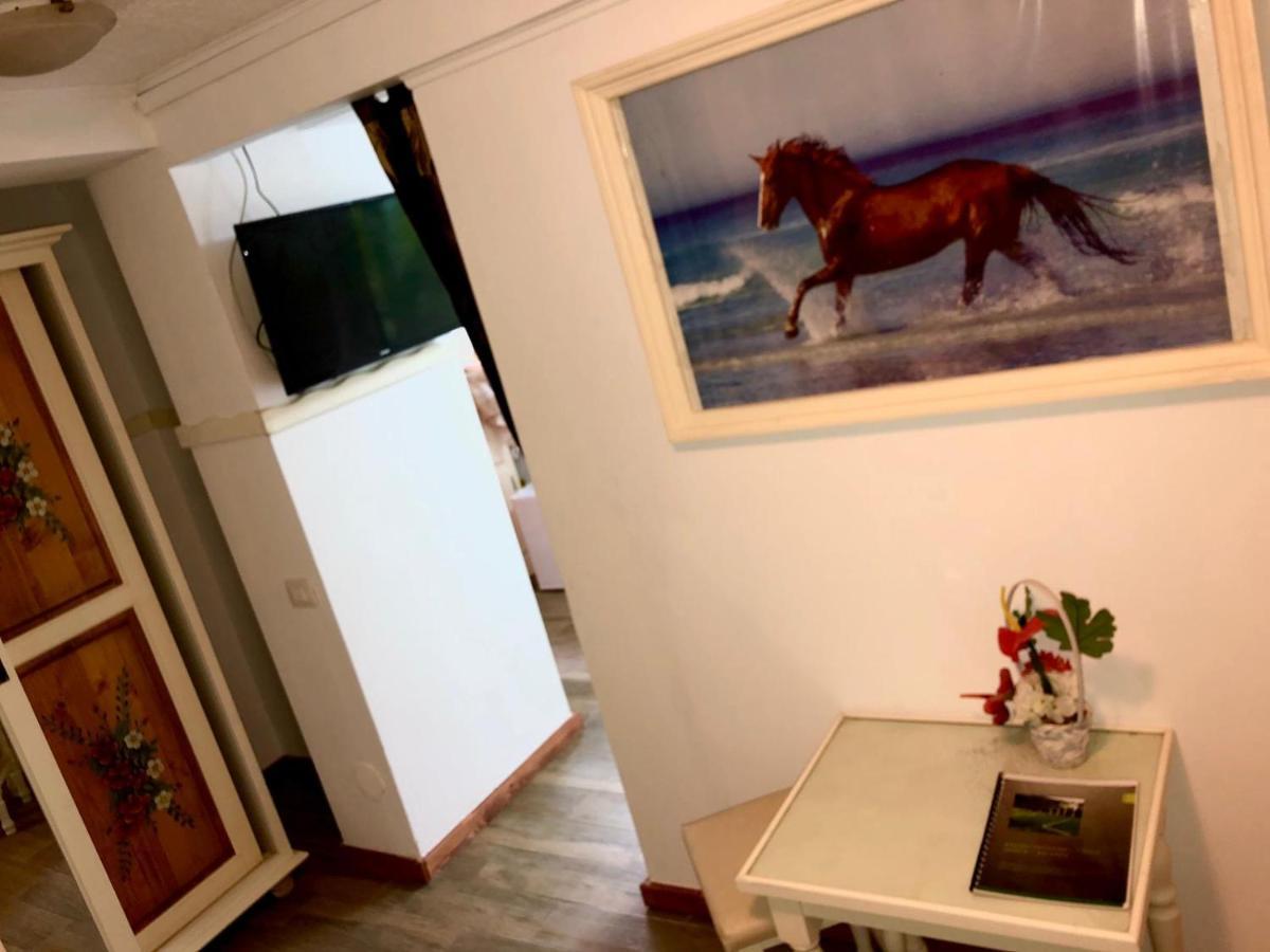 Vila Horia Bradet Săcele Esterno foto